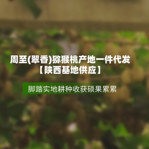 周至獼猴桃九月份即將上市！秦嶺...